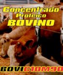 Concentrado proteico bovino