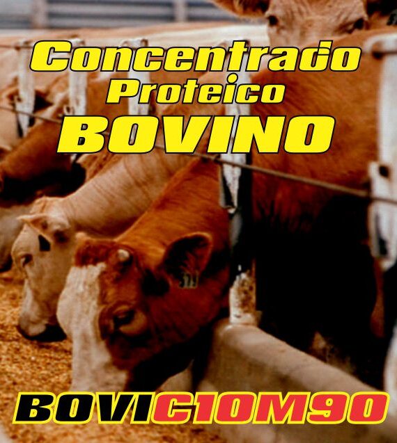 Concentrado proteico bovino