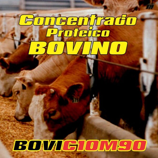 Concentrado proteico bovino